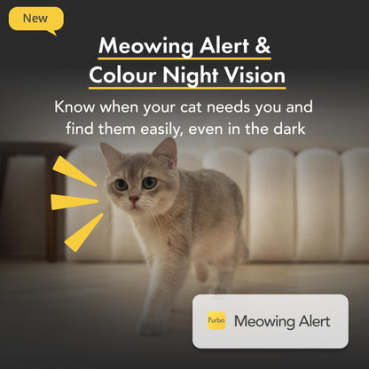Furbo 360° Cat Camera [BASIC CAMERA]: Pet Monitor w/App, Rotating 360° View, Colour Night Vision, Auto-Tracking, Treat-toss, Meowing Alert. Loved by millions of pet parents worldwide